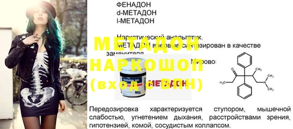шишки Ельня