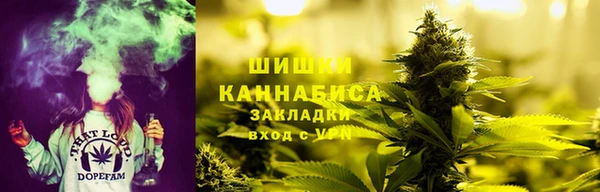 шишки Ельня