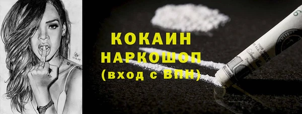 шишки Ельня