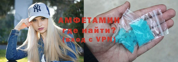 шишки Ельня