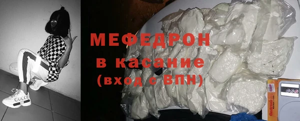 шишки Ельня