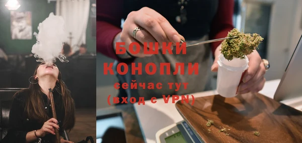 шишки Ельня
