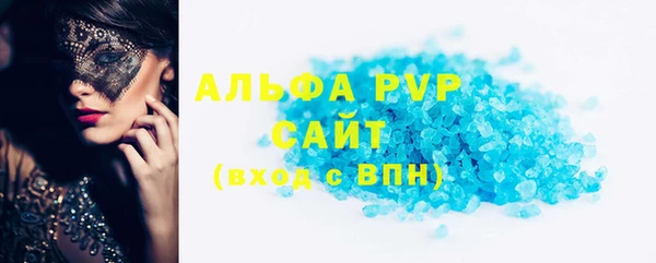 шишки Ельня