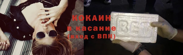 шишки Ельня