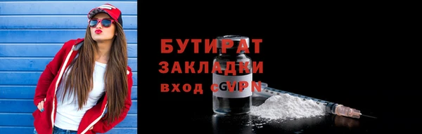шишки Ельня