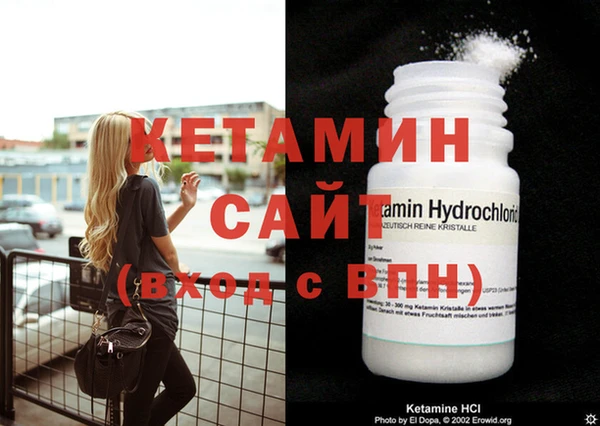 шишки Ельня