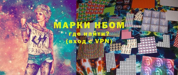 шишки Ельня
