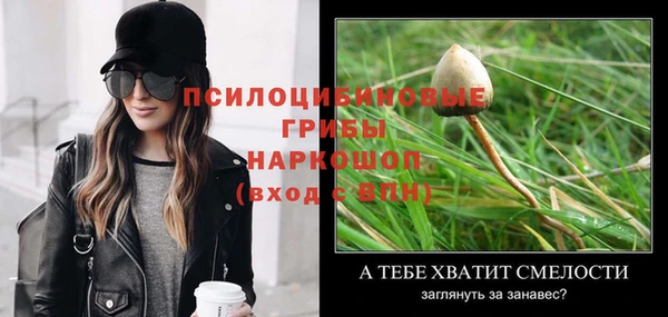 шишки Ельня